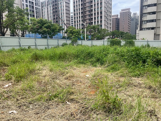 桃園割草
