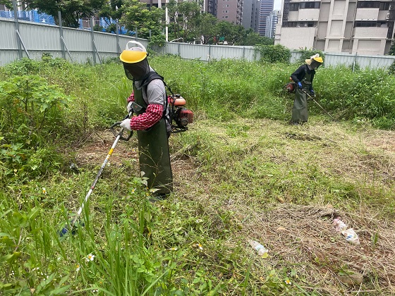 桃園割草