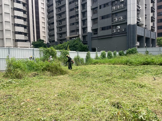 桃園割草