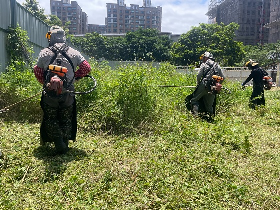 桃園割草