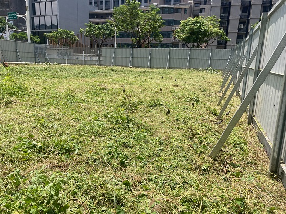 桃園割草