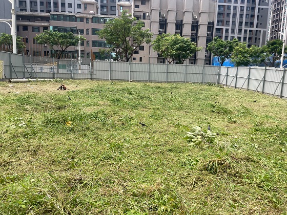 桃園割草