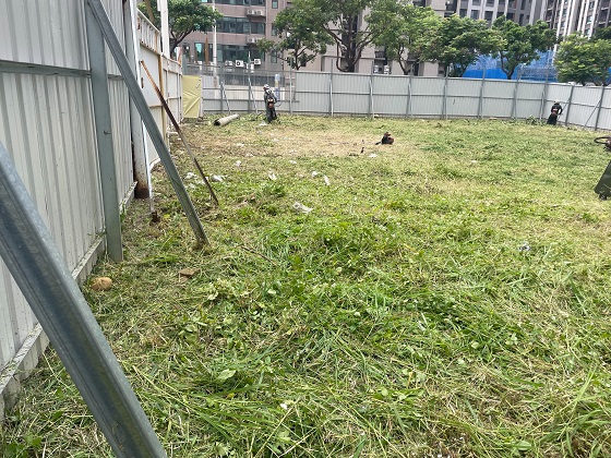 桃園割草