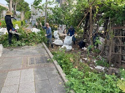 楊梅割草