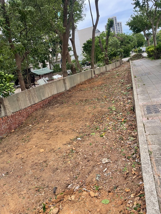 楊梅割草