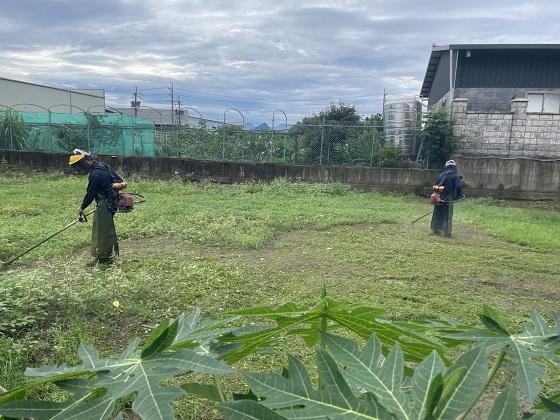 中壢區割草