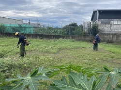 中壢區除草