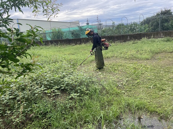 中壢區割草