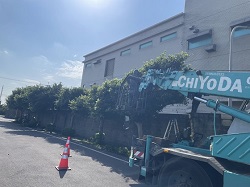 新屋區樹木修剪