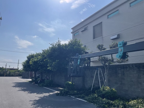 新屋區樹木修剪