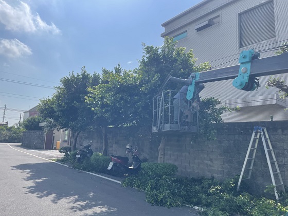 新屋區樹木修剪