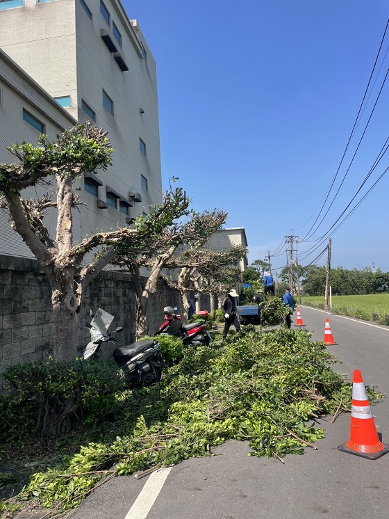 新屋區樹木修剪