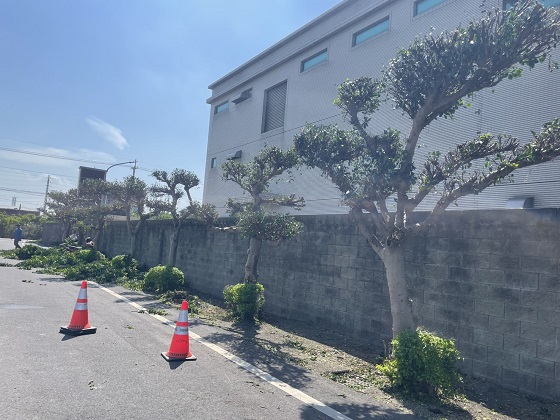 新屋區樹木修剪