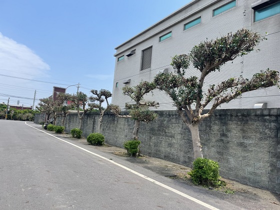 新屋區樹木修剪