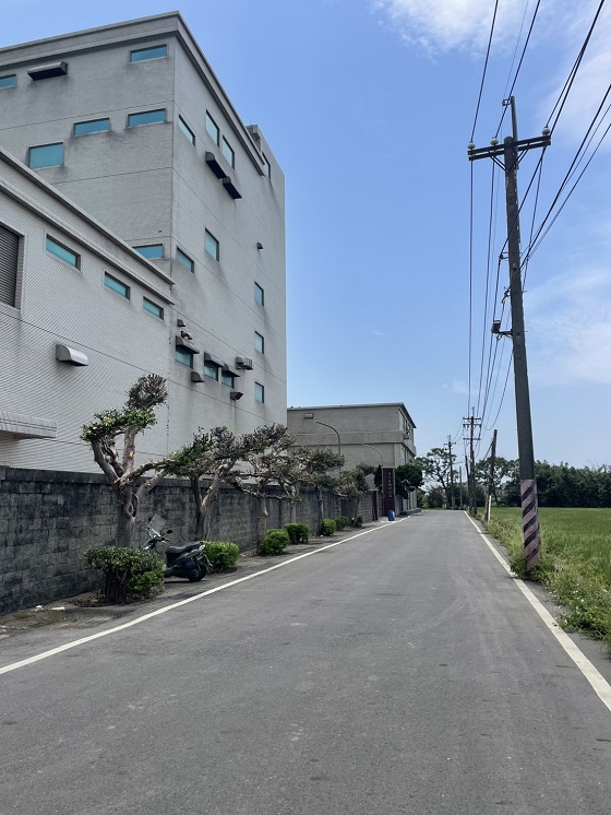 新屋區樹木修剪