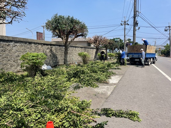 新屋區樹木修剪