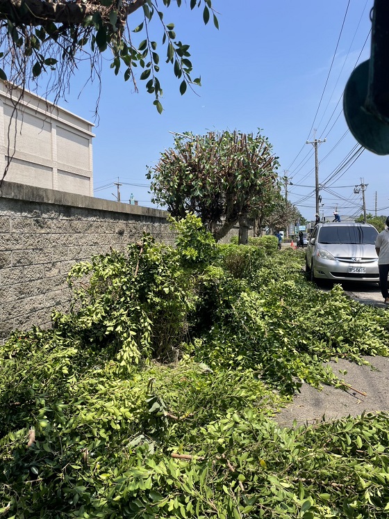 新屋區樹木修剪