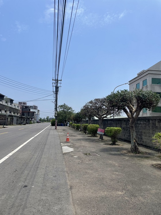 新屋區樹木修剪