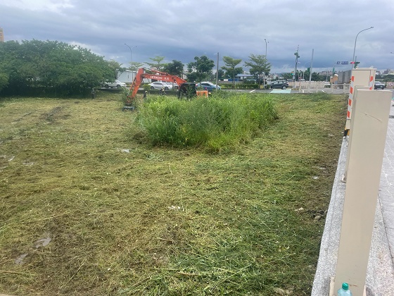 八德區割草