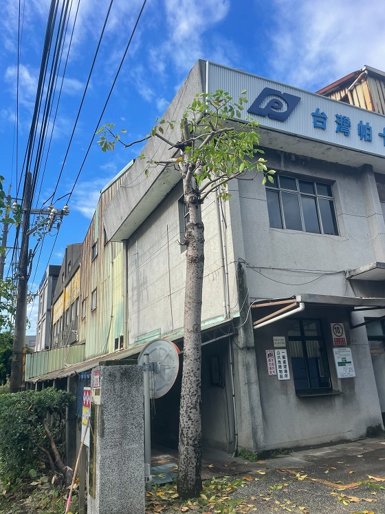 中壢區樹木修剪