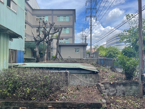 中壢區樹木修剪