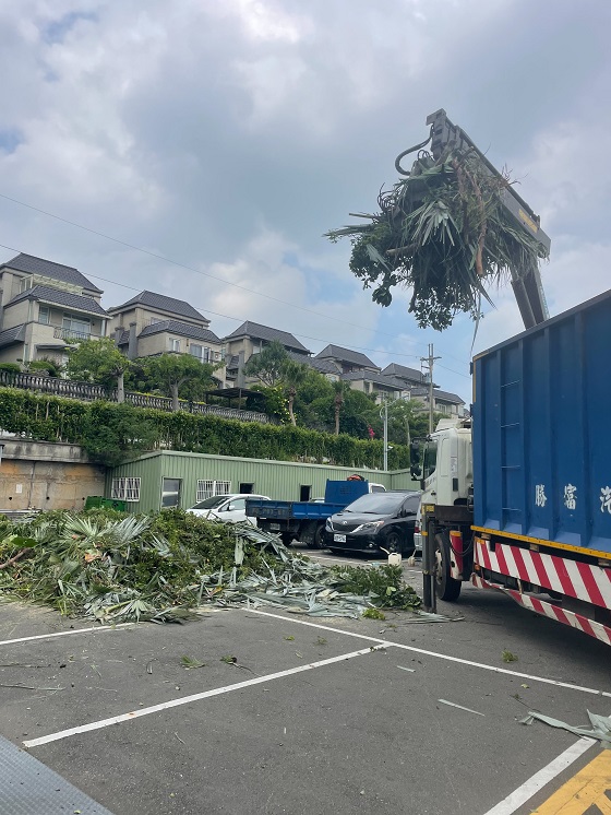 平鎮區樹木修剪環境整理