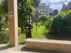 楊梅割草