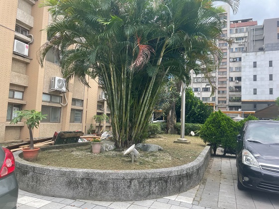 桃園割草