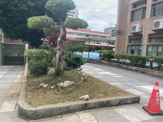 桃園割草