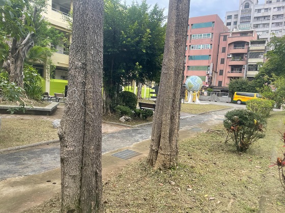 桃園割草