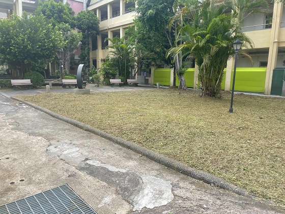 桃園割草