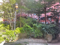 桃園平鎮區庭園維護