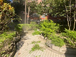 平鎮區樹木修剪