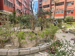 平鎮區樹木修剪