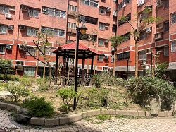 平鎮區樹木修剪環境整理