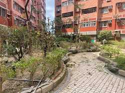 平鎮區樹木修剪環境整理