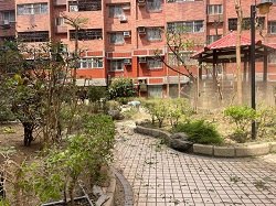 平鎮區樹木修剪環境整理