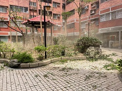 平鎮區樹木修剪環境整理