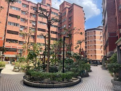 平鎮區樹木修剪環境整理