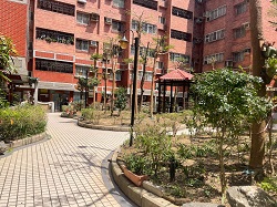 平鎮區樹木修剪環境整理
