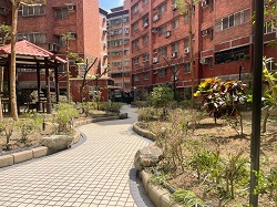 平鎮區樹木修剪環境整理