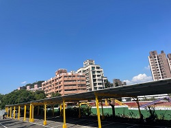 鶯歌區樹木修剪環境整理