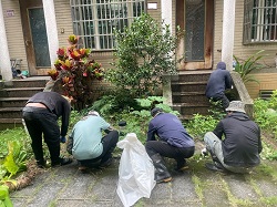 桃園中壢區庭園維護-花圃整理