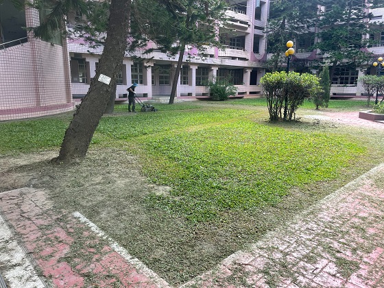 桃園楊梅割草