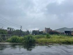 桃園平鎮割草