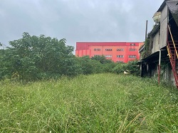 桃園平鎮割草