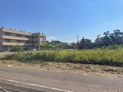 桃園平鎮割草