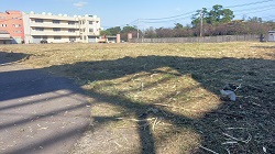 桃園平鎮割草