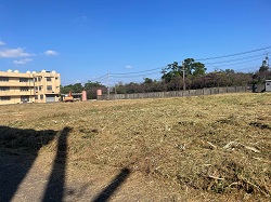 桃園平鎮割草