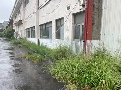 桃園平鎮區割草